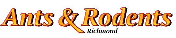 Richmond Ant Exterminator & Rodent Control Company Logo